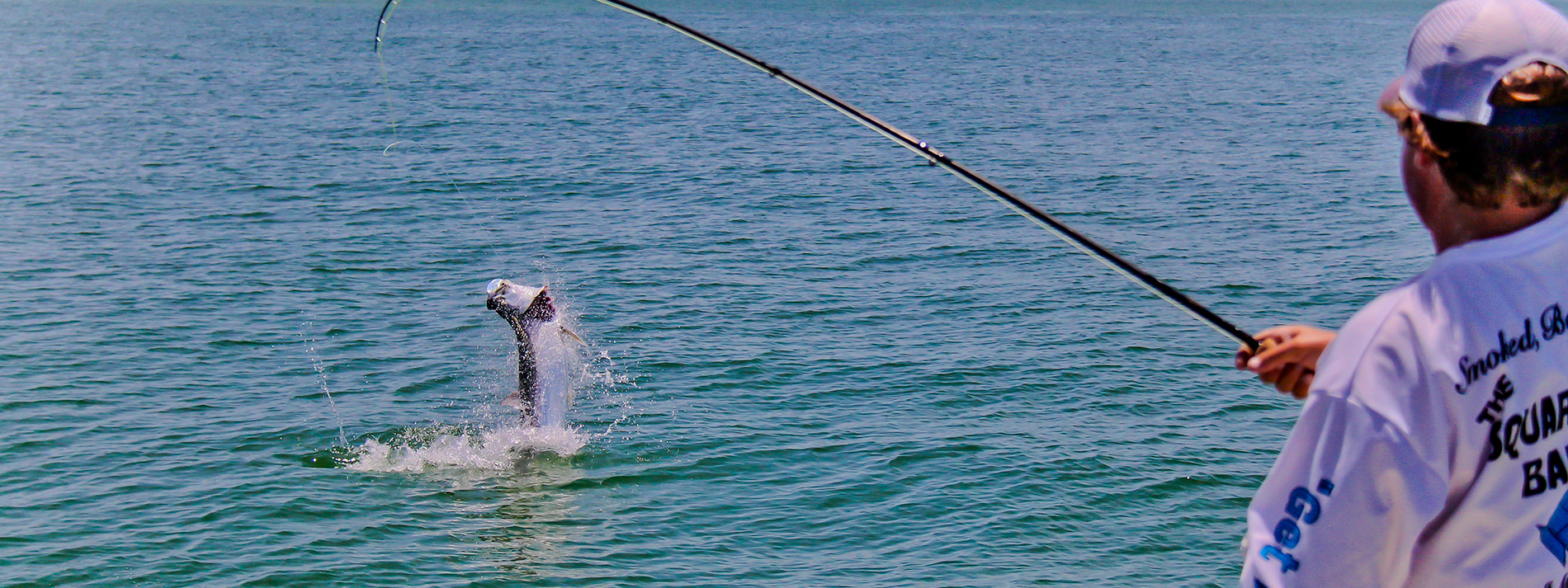Tampa Fly Guides An Alliance of Fly Fishing Guides in Tampa Bay